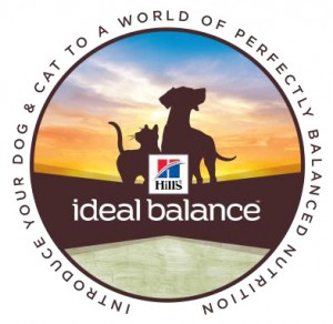 Ideal-Balance-logo-300x292