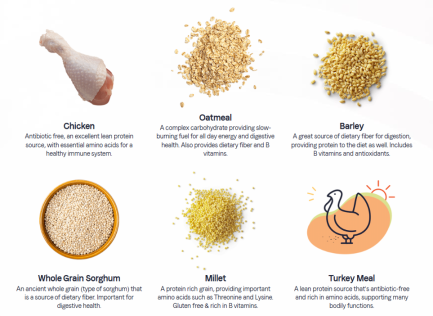 multiprotein ingredients