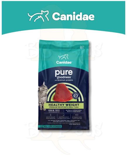 Canidae Felidae PURE Ocean