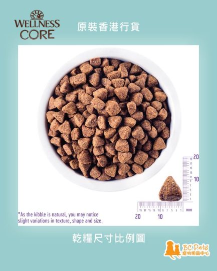 Wellness CORE Lamb kibble size