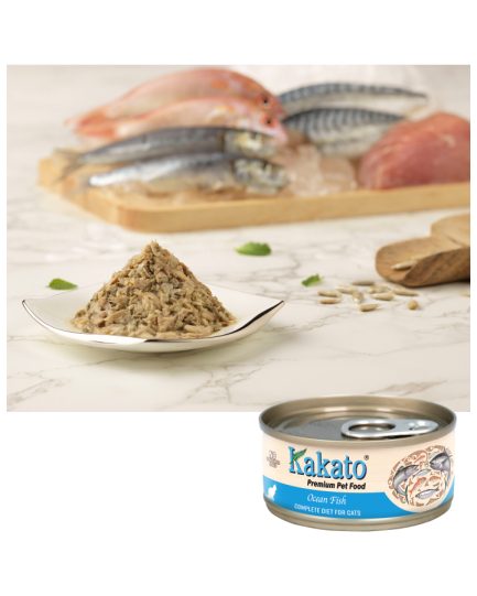 Kakato - 海魚產品圖 - Ocean Fish Product Photo