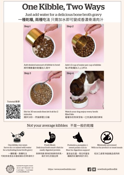 NOW FRESH!™ Good Gravy Cage-Free Chicken Small Breed Adult 香濃火雞骨湯外層小型成犬乾糧 - 雞肉配方(含古代穀物) - Image 4