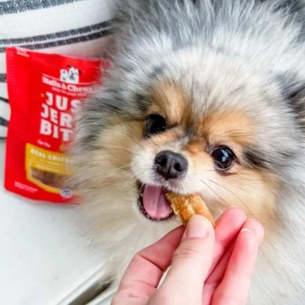 Stella & Chewy's Just Jerky Bites 肉乾狗小食 6oz1