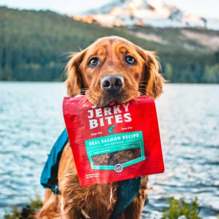 Stella & Chewy's Just Jerky Bites 肉乾狗小食 6oz2